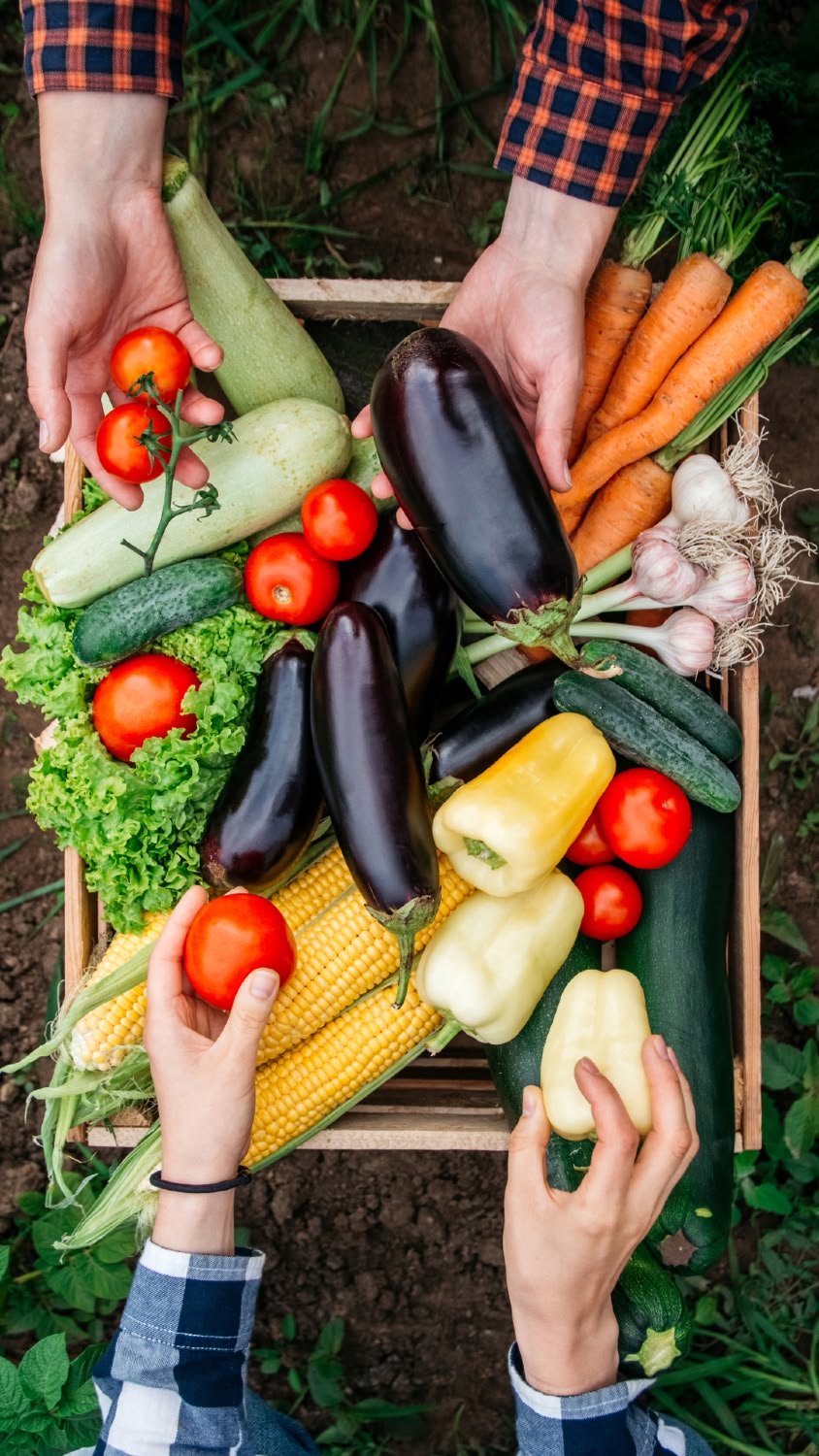 Organic Farming